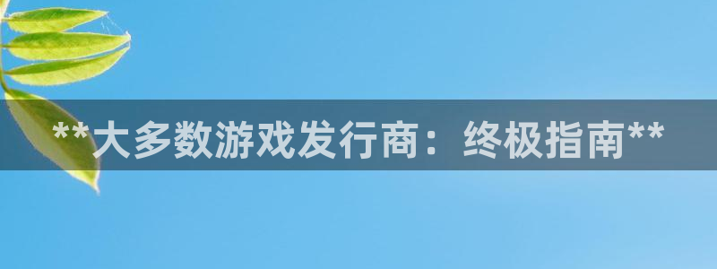 深圳市蓝狮科技有限招聘公司：**大多数游戏发行商：终极指南**